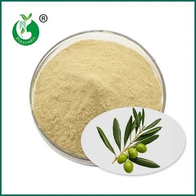 Polvere di oleuropeina