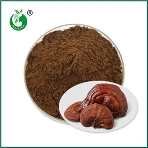 Effetti e controindicazioni dell'assunzione di polvere di spore di Ganoderma