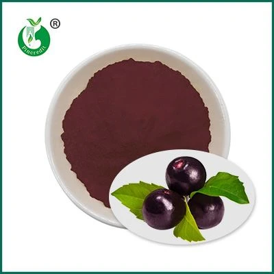 Succo di bacche di acai in polvere