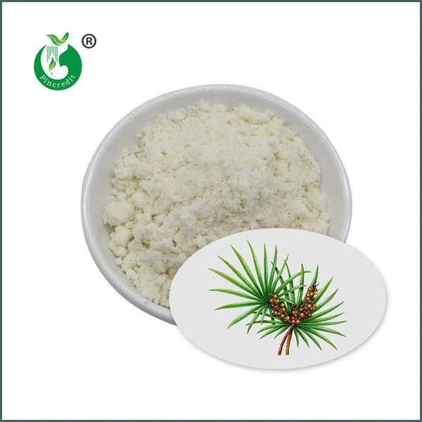 Estratto di Saw Palmetto in polvere