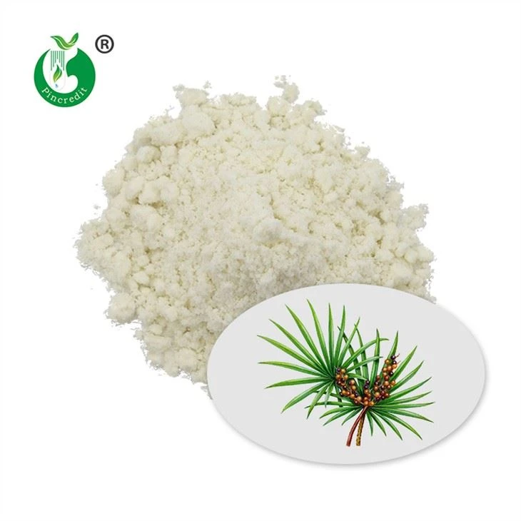 Saw Palmetto Extract Powder