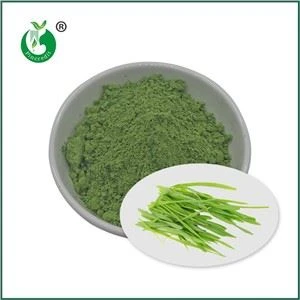 Polvere d'erba d'orzo