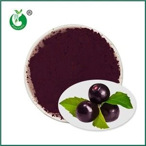 Polvere di Acai Pura