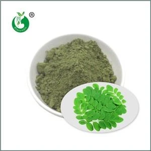 Moringa biologica in polvere