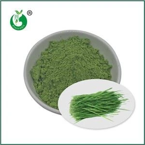 Polvere di erba di grano