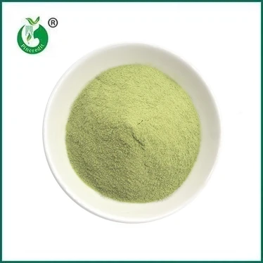 NUOVO ARRIVO: Matcha Latte in polvere