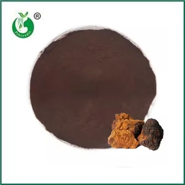 I vantaggi e gli usi della polvere di estratto di Chaga