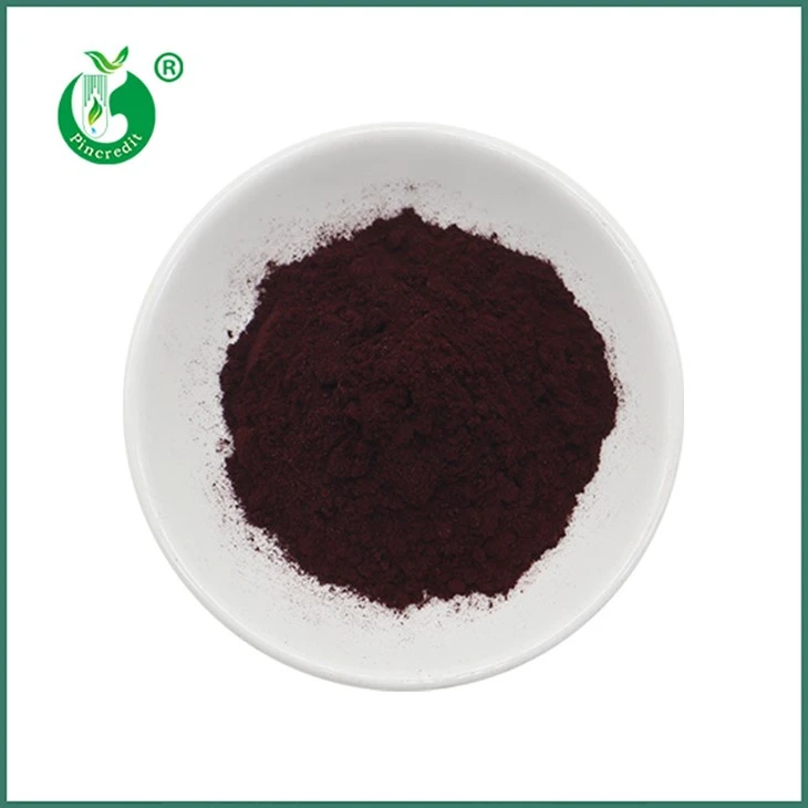 Estratto di Haematococcus Pluvialis Astaxantina in polvere