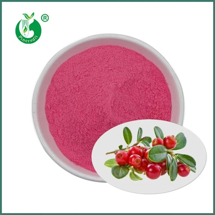 Succo di mirtillo rosso in polvere
