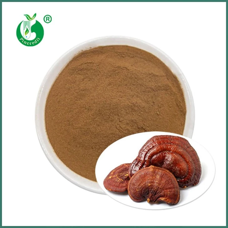 Polvere di estratto di Reishi