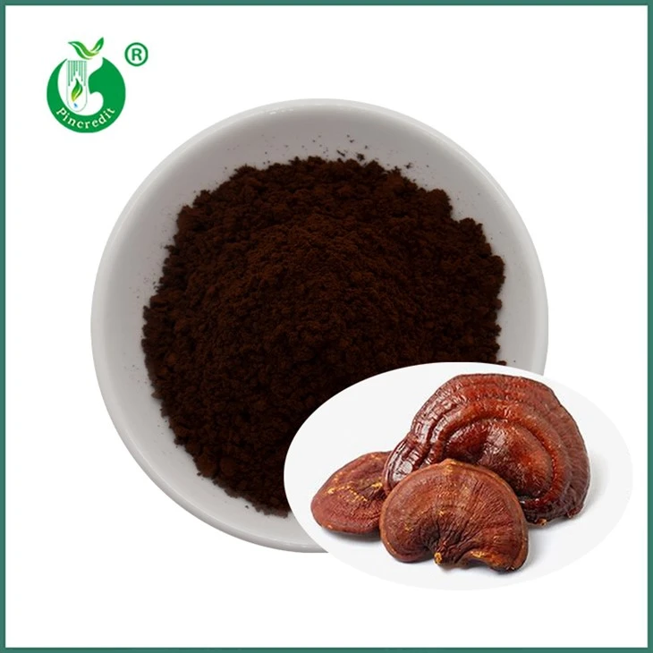 Polvere di spore Reishi