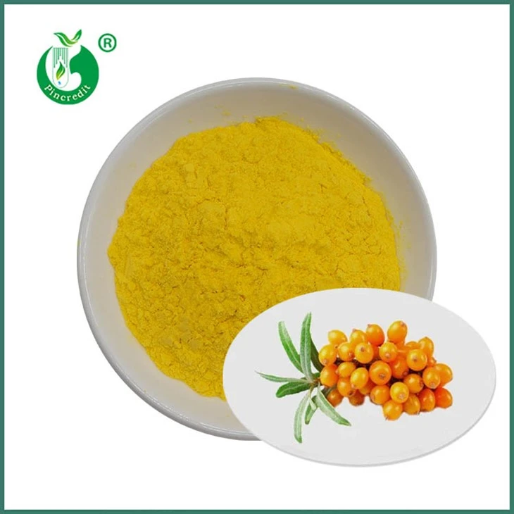Polvere di succo di olivello spinoso