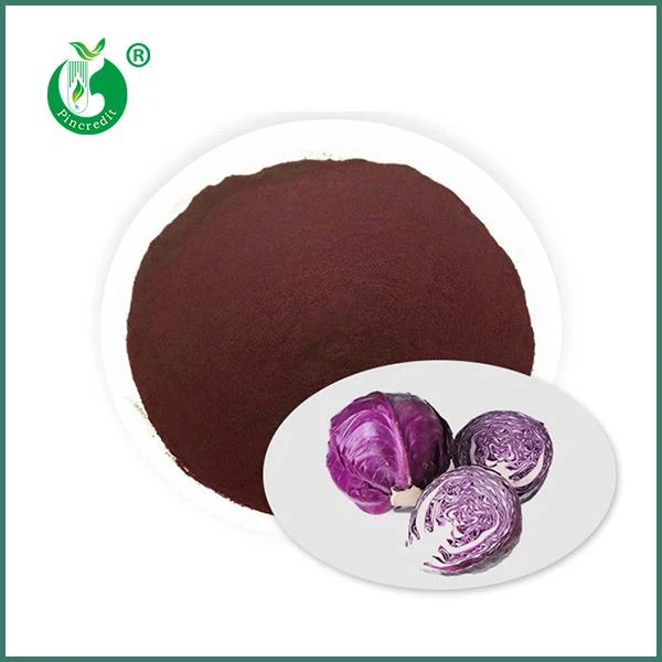 Succo di cavolo rosso in polvere